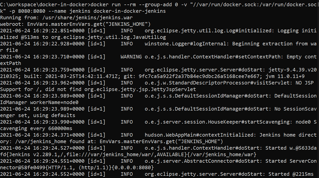 Docker in Docker Jenkins startup